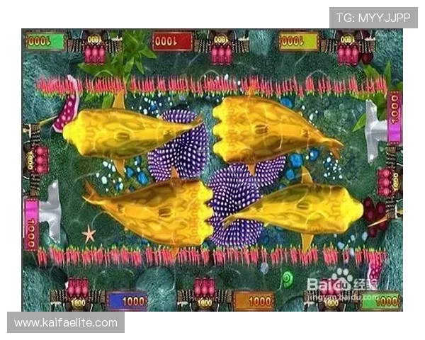 金鲨银鲨游戏中的隐藏技巧与秘籍揭秘提升你的胜率和收益